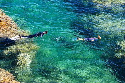 Buceadores disfrutando de la belleza de las aguas cristalinas del Cabo de Gata en Almería