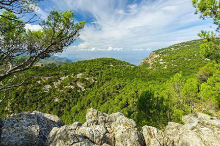 Muestra de la belleza natural de la sierra de Tramuntana en la isla de Mallorca