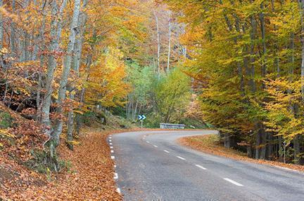 Paisaje otoñal mostrando la belleza natural del Parque Natural del Montseny