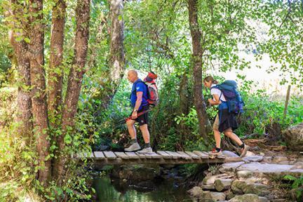 Puente sobre río en un bosque del Camino de Santiago