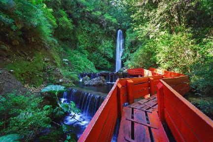 Paseo por el Parque Natural de Villarrica junto a sus aguas termales, Chile