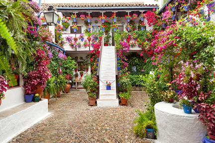 Colorido patio engalanado con flores para el Festival de los Patios de Córdoba