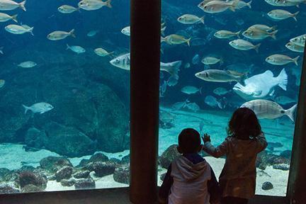 Niños disfrutando de las instalaciones del Aquarium Finisterrae
