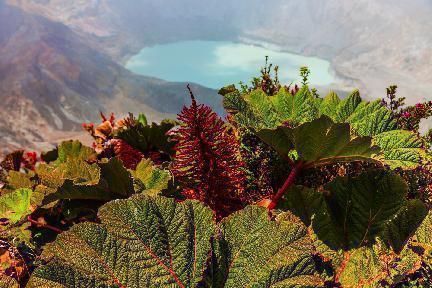 Parque Natural Volcán Poás en Costa Rica