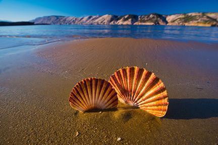 Playa en las costas de Croacia