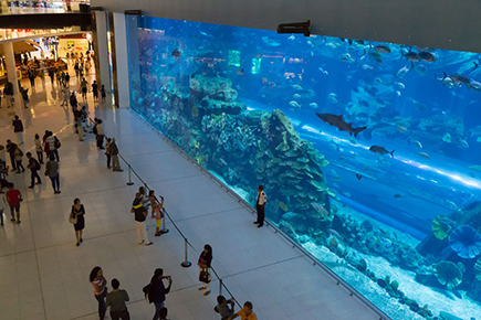 Gran acuario en el centro comercial Dubai Mall.
