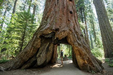 Parque Nacional de Yosemite, EE.UU.