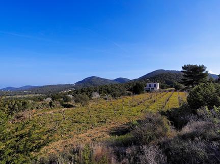 Zona rural del interior de Ibiza