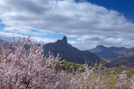 Preciosas vistas de la caldera de Tejeda