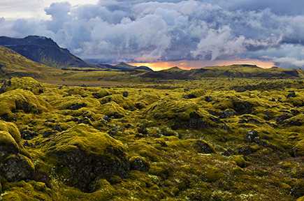 Campo de lava en Islandia
