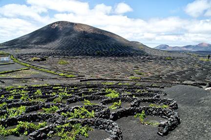 Peculiar y único paisaje vinícola en Lanzarote