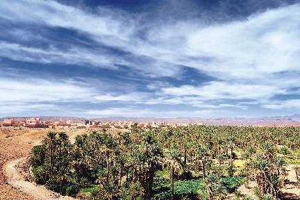 palmeral de Zagora, Marruecos