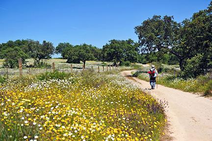 El Parque Natural de Cornalvo es un paraiso para disfrutar de la naturaleza a un paso de Mérida