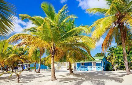 Casas tradicionales caribeñas en la isla Saona