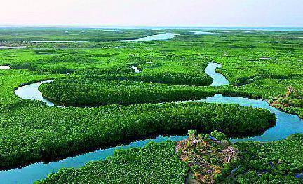 Delta de Saloum,  Senegal