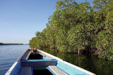 Rio Saloum, delta, piragua, Senegal