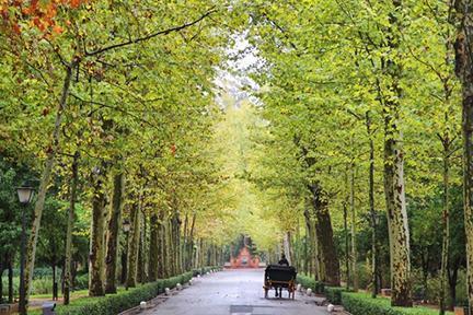 El parque de María Luisa, uno de los pulmones de la ciudad de Sevilla