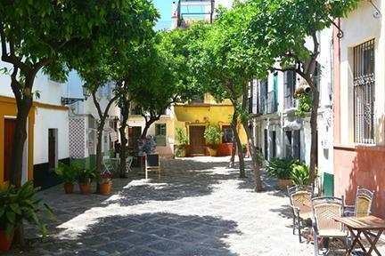 Plaza típica sevillana en el barrio de Santa Cruz