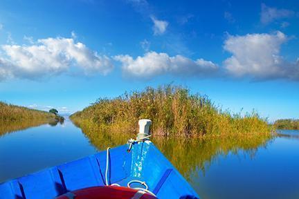 Embarcación navegando por los canales de La Albufera