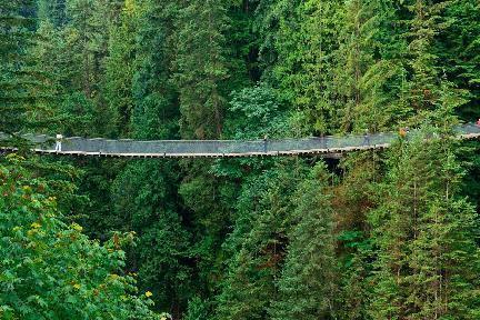 Cruzando el Puente colgante de el Capilano