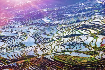 Campos de arroz en Yuanyang