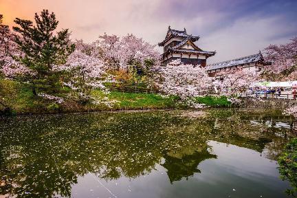 Nara, la antigua capital de Japón