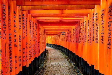 Iconica imagen de los túneles de torii en el santuario de Fushimi Inari, Kioto