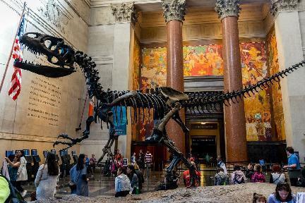 Museo de Historia Natural de Nueva York
