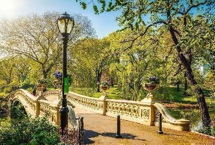 Precioso puente en Central Park