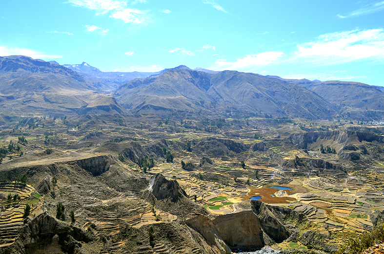 Cañón de Colca, terrazas cultivadas en la montaña, al fondo volcanes.