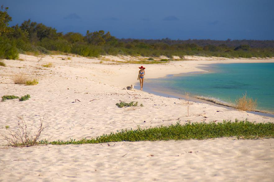 Idílico paseo junto al mar en la Bahía de las Águilas de la República Dominicana