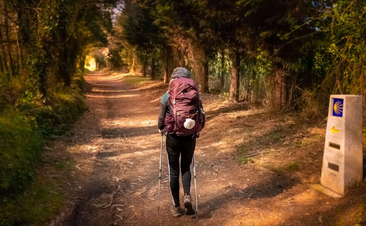 Rincones sorprendentes del Camino de Santiago