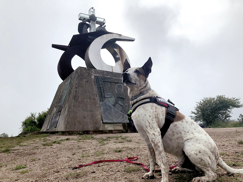 Monte do Gozo con perro haciendo el Camino de Santiago