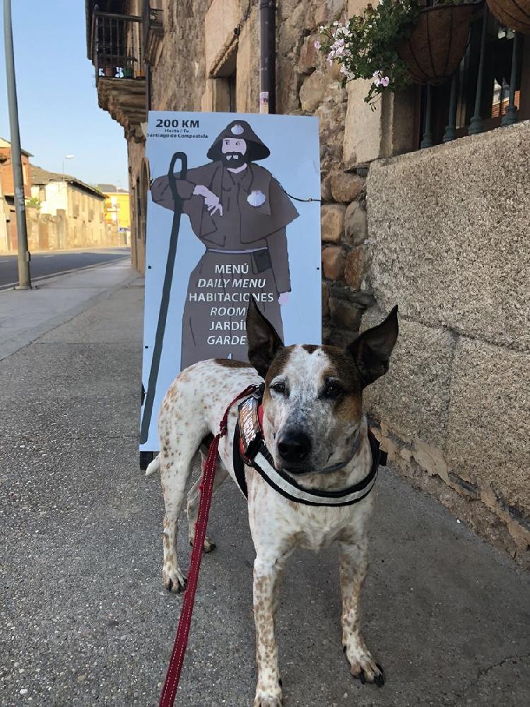 Cartel en el Camino de Santigo