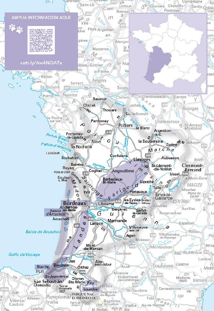 Ruta dog trip por Nouvelle-Aquitaine