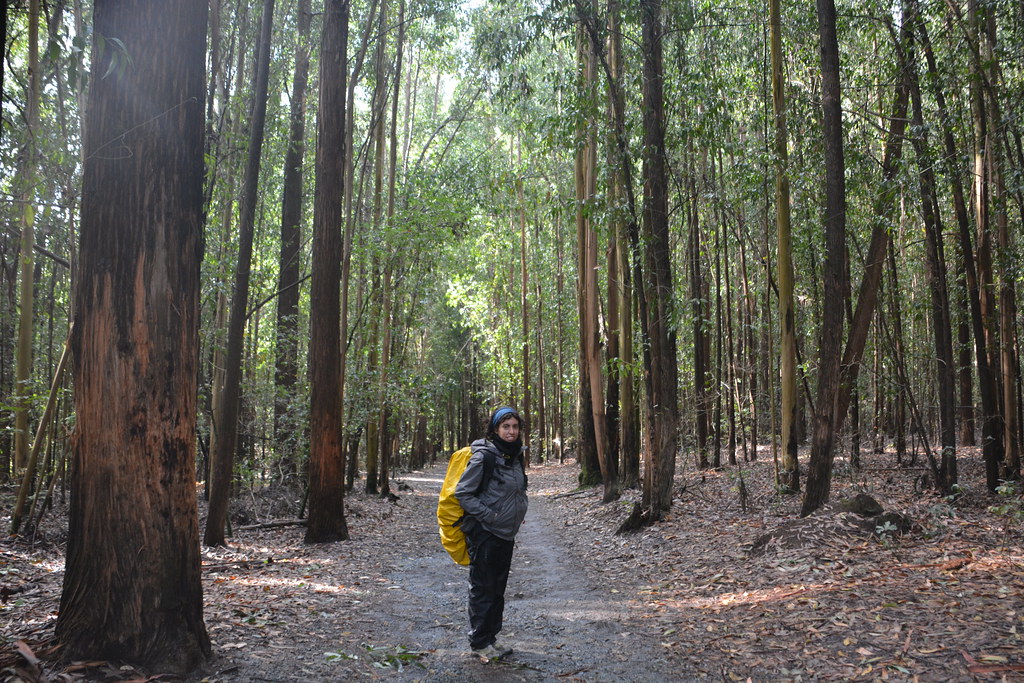 Mochilera haciendo el Camino de Santiago