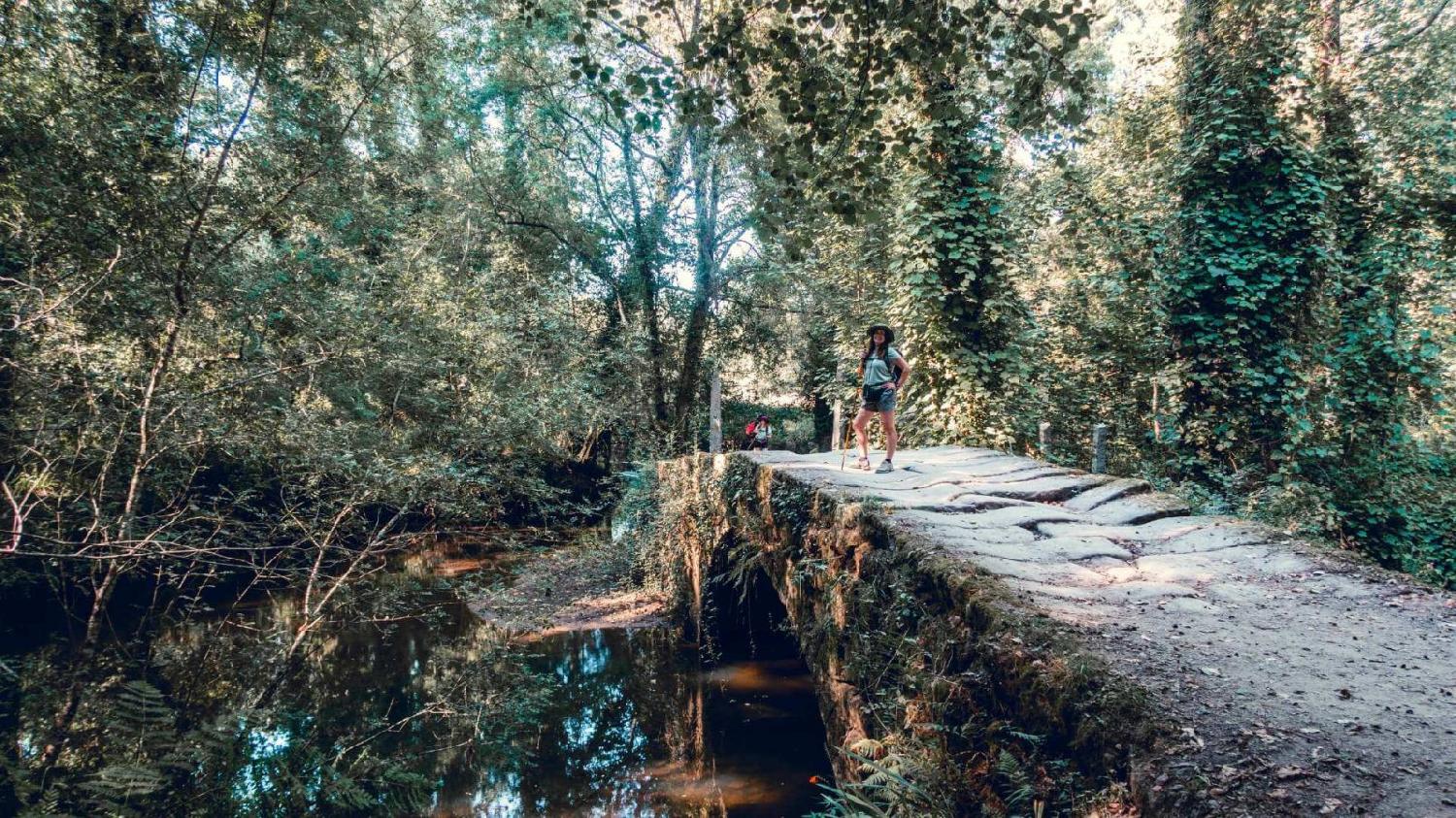 El Camino de Santiago de Modo Traveller