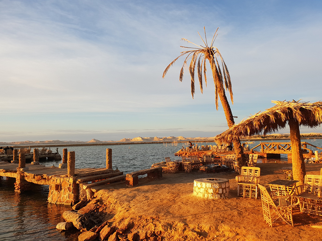 Oasis de Siwa en el desierto libio