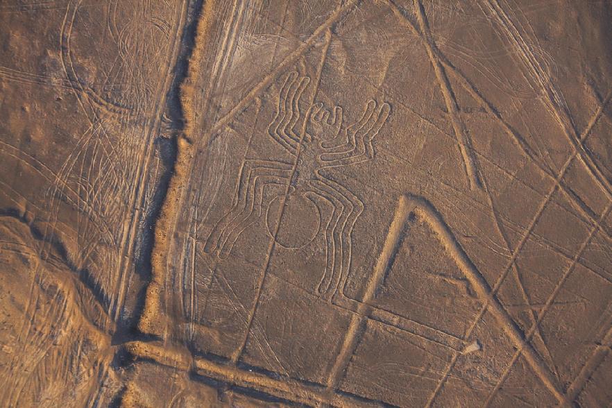 Figura de la araña en Nazca, Perú