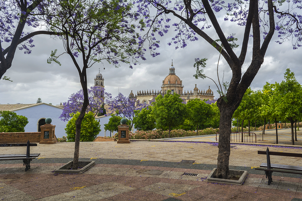 Catedral de Jerez de la Frontera