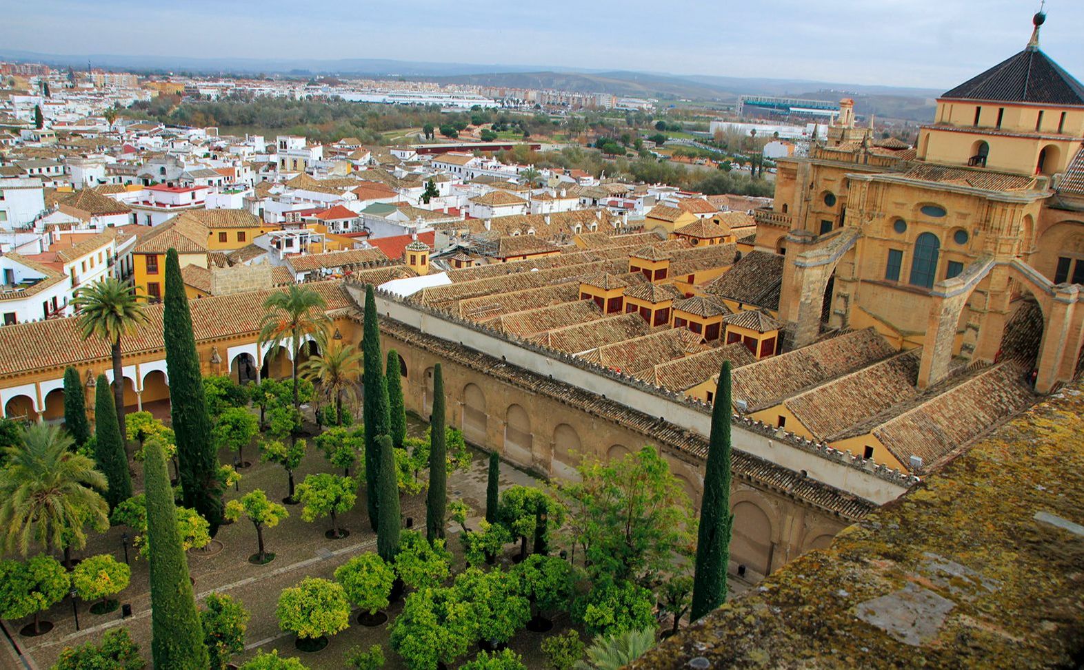 Leer también es viajar