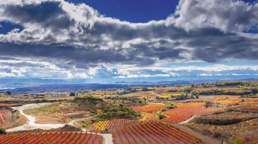Entre viñedos y monasterios en La Rioja