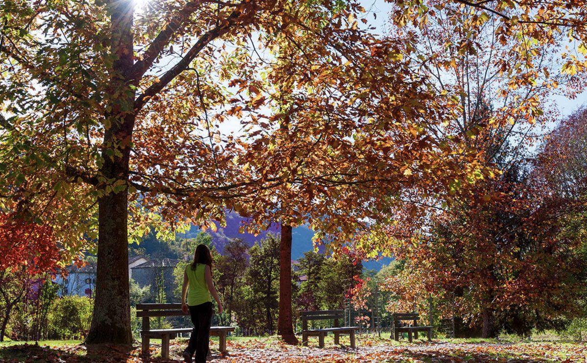 5 destinos perfectos para viajar y disfrutar del otoño en España 