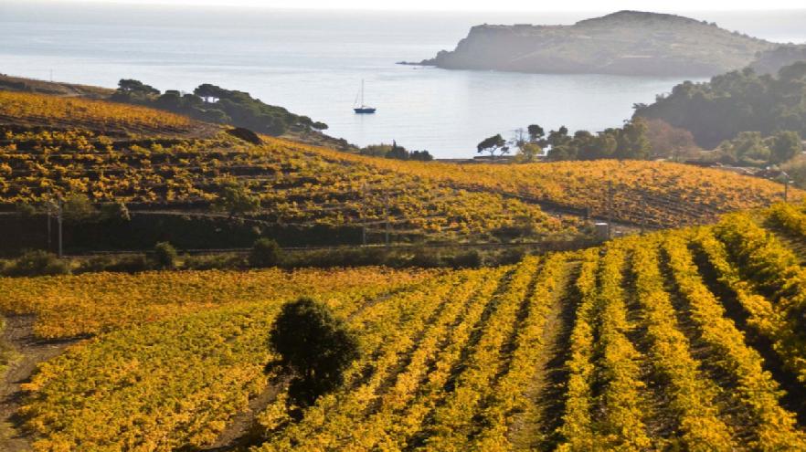  El Rosellón y la Cerdaña Francesa