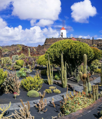 Lanzarote