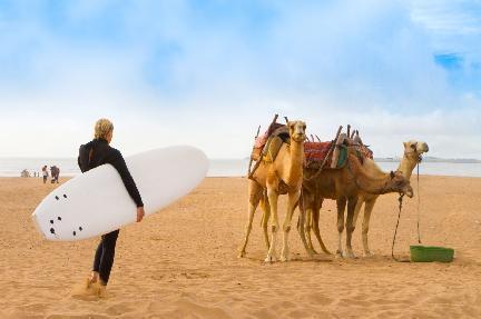 Chica surfera al lado de dos camellos en la Playa de Esauira