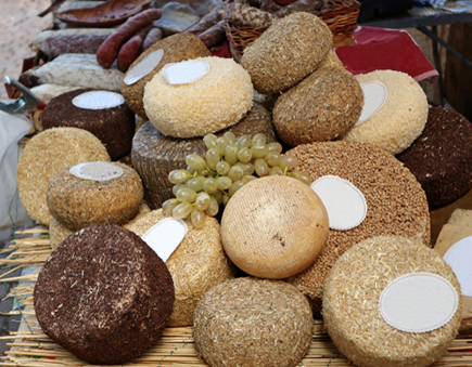 Amplia muestra de los deliciosos quesos toscanos
